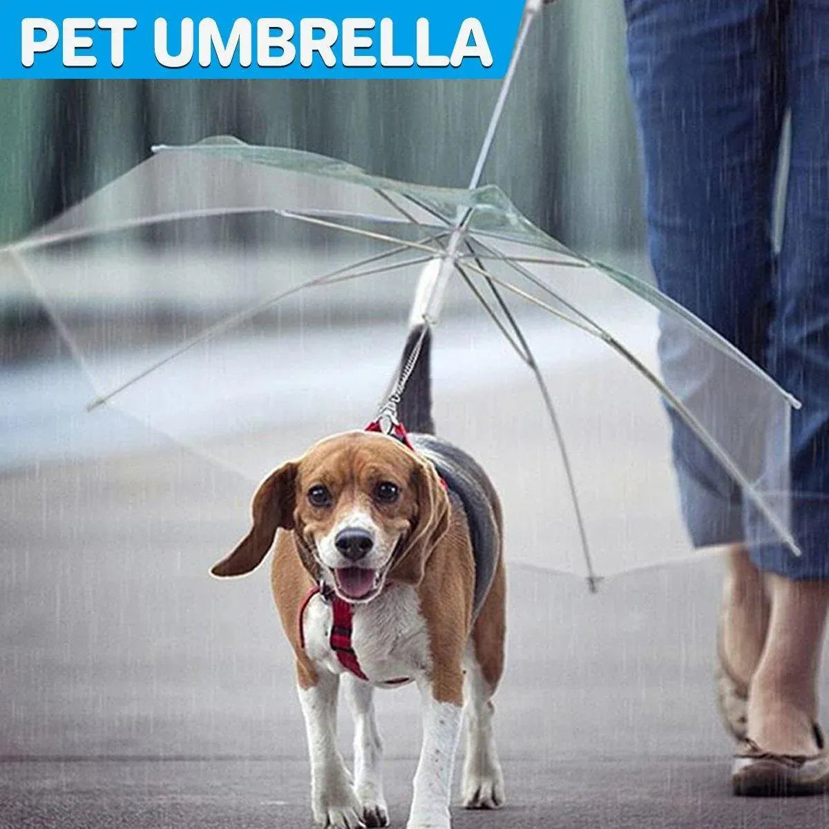 Pet Dog Transparent Umbrella 30 inch Diameter With Dog Leash For Rain Walking Outdoor