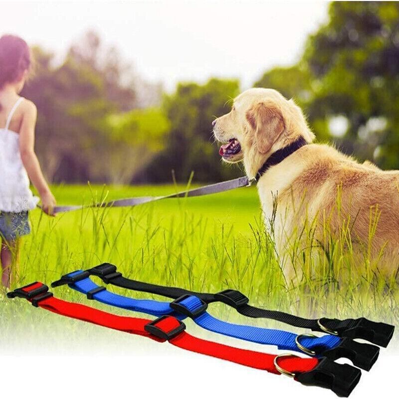 S Size Dog Puppy Pet Collar Adjustable Nylon Toy Small Pink Blue Red Black - Grey