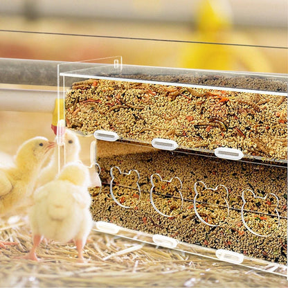 Automatic Acrylic Chicken Feeder Rutin Pet Supplies for Poultry Feeding System - 5 Holes