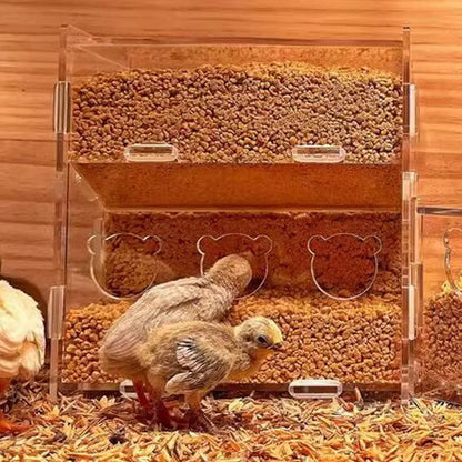 Automatic Acrylic Chicken Feeder Rutin Pet Supplies for Poultry Feeding System - 5 Holes