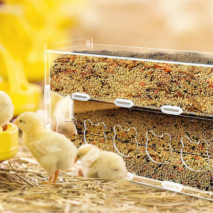 Automatic Acrylic Chicken Feeder Rutin Pet Supplies for Poultry Feeding System - 5 Holes