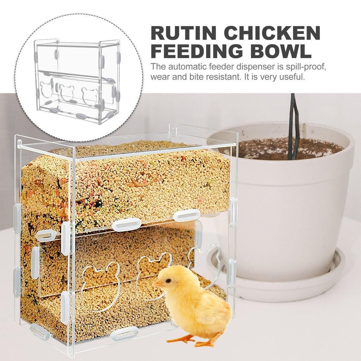 Automatic Acrylic Chicken Feeder Rutin Pet Supplies for Poultry Feeding System - 5 Holes