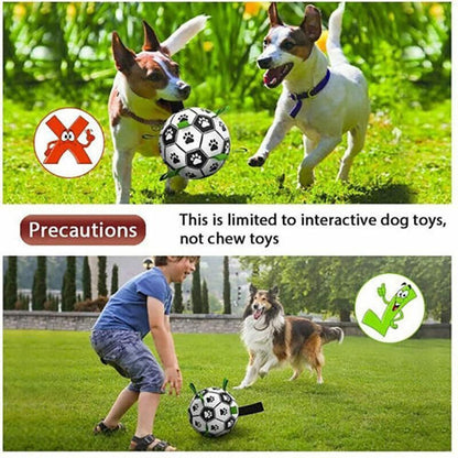 Interactive Pet Football Dog Toys Grab Tabs Outdoor Training Soccer Chew Balls