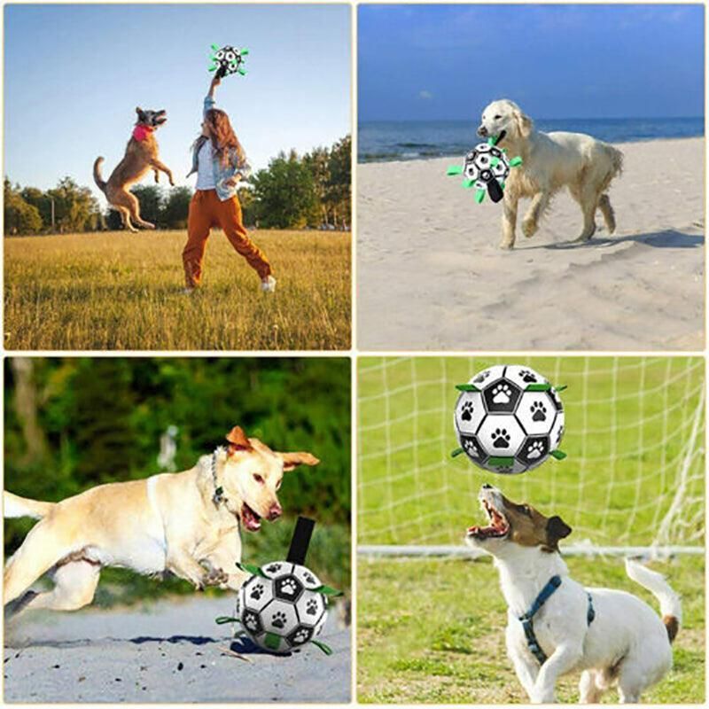 Interactive Pet Football Dog Toys Grab Tabs Outdoor Training Soccer Chew Balls