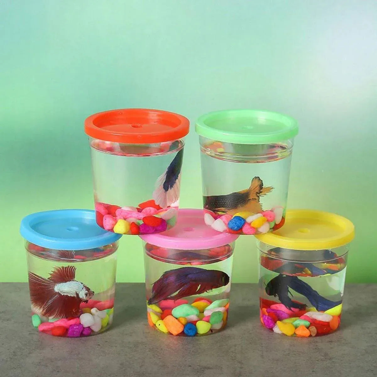 20pcs Mini Betta Fish Cup with Lid Portable Small Plastic Jellyfish Tank Cup