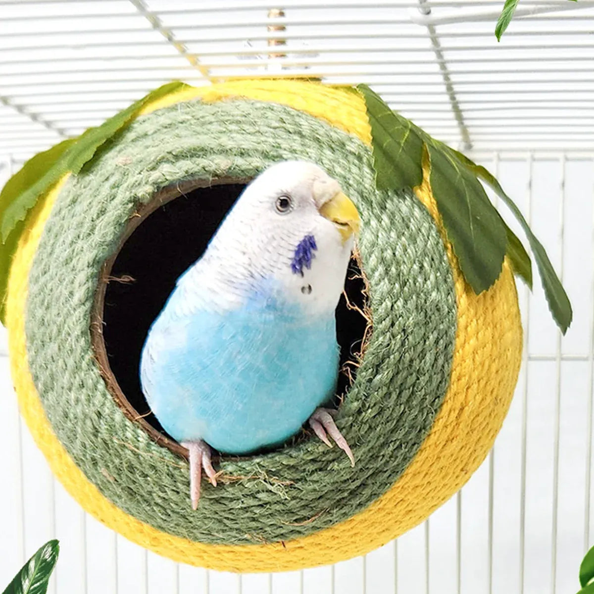 Bird Nest Parrot Nest Coconut Shell Braided Twine Colourful Cage Hanging Bed - White-Brown-Screw Model