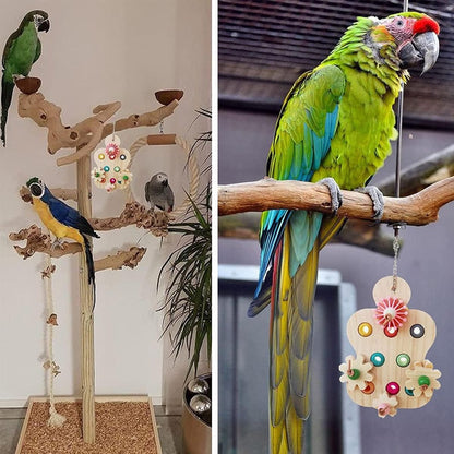 Wooden Parrot Toys Educational Interactive Chewing Nibbling Hanging Cage Toys