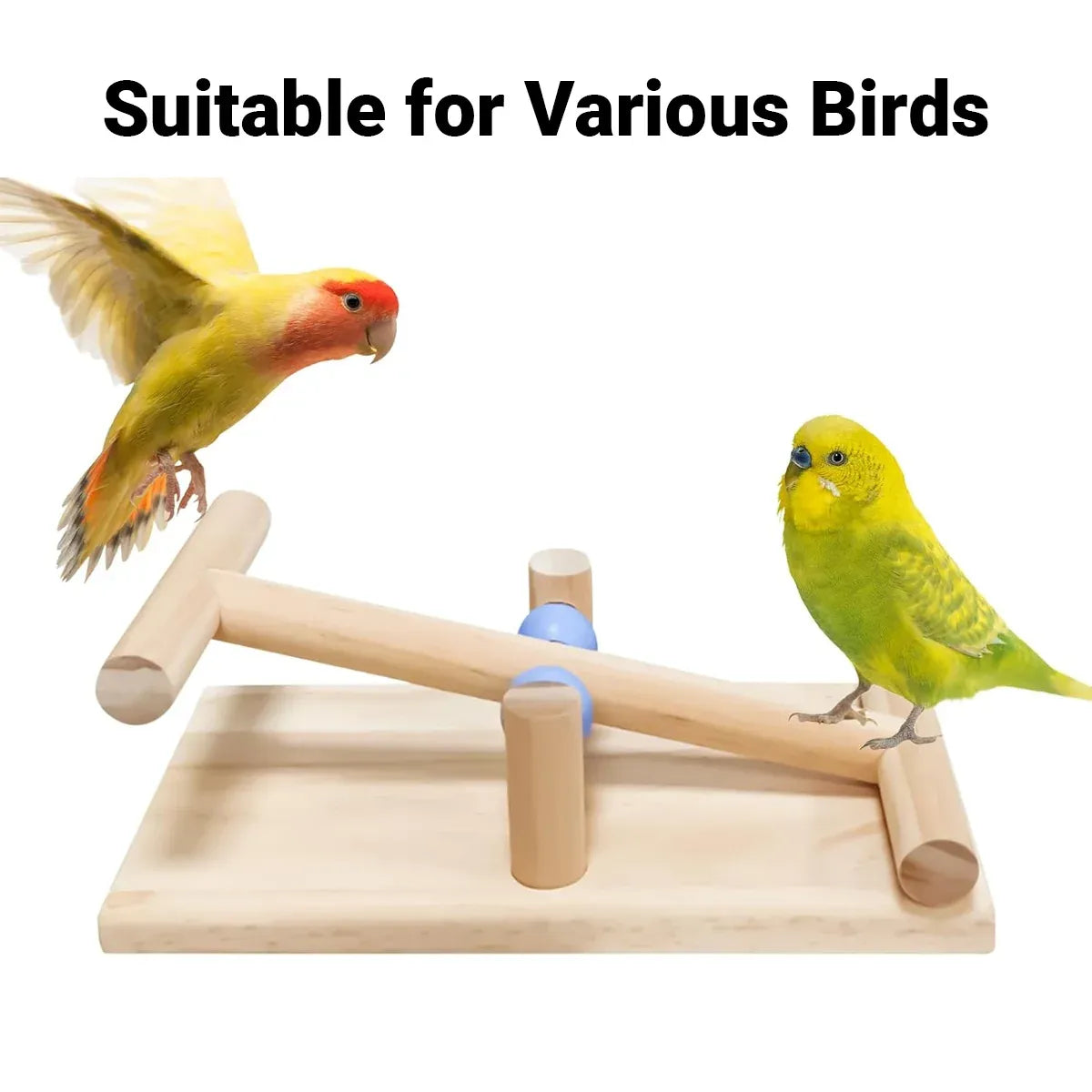 Interactive Bird Seesaw for Small Medium Birds Cage Toy Training Play Equipment
