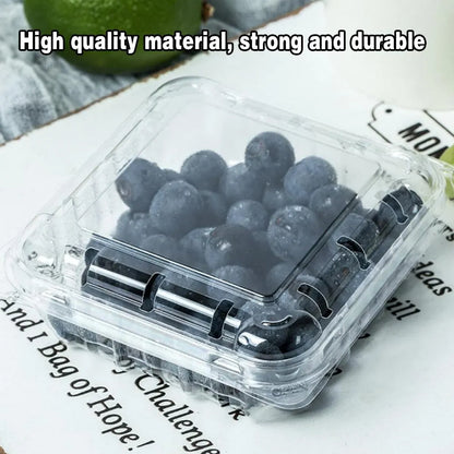 100pcs Transparent Plastic Fruit Box with Tape Cover Storage Packaging for Fruit - 125g
