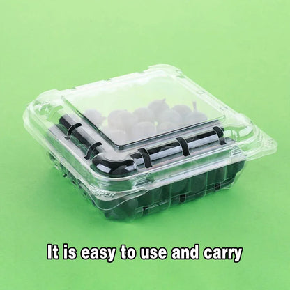 100pcs Transparent Plastic Fruit Box with Tape Cover Storage Packaging for Fruit - 125g