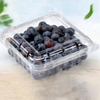 100pcs Transparent Plastic Fruit Box with Tape Cover Storage Packaging for Fruit - 125g