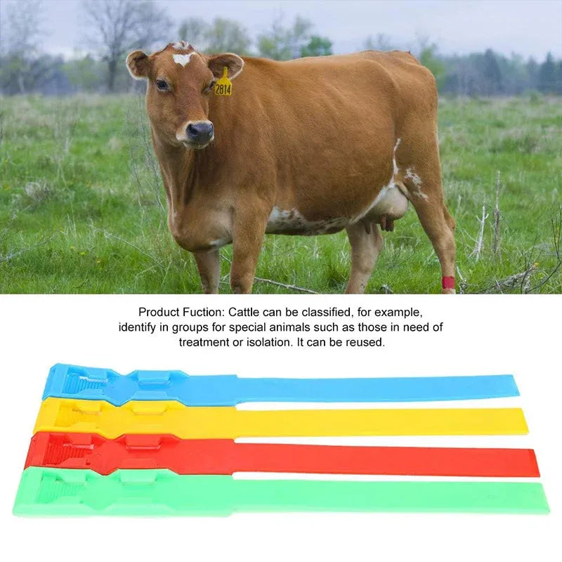 Cow Identification Bands 20PCS Adjustable Foot Rings Multi Colour Tags Livestock - Yellow