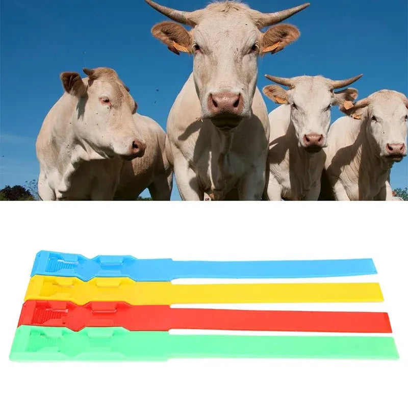 Cow Identification Bands 20PCS Adjustable Foot Rings Multi Colour Tags Livestock - Yellow