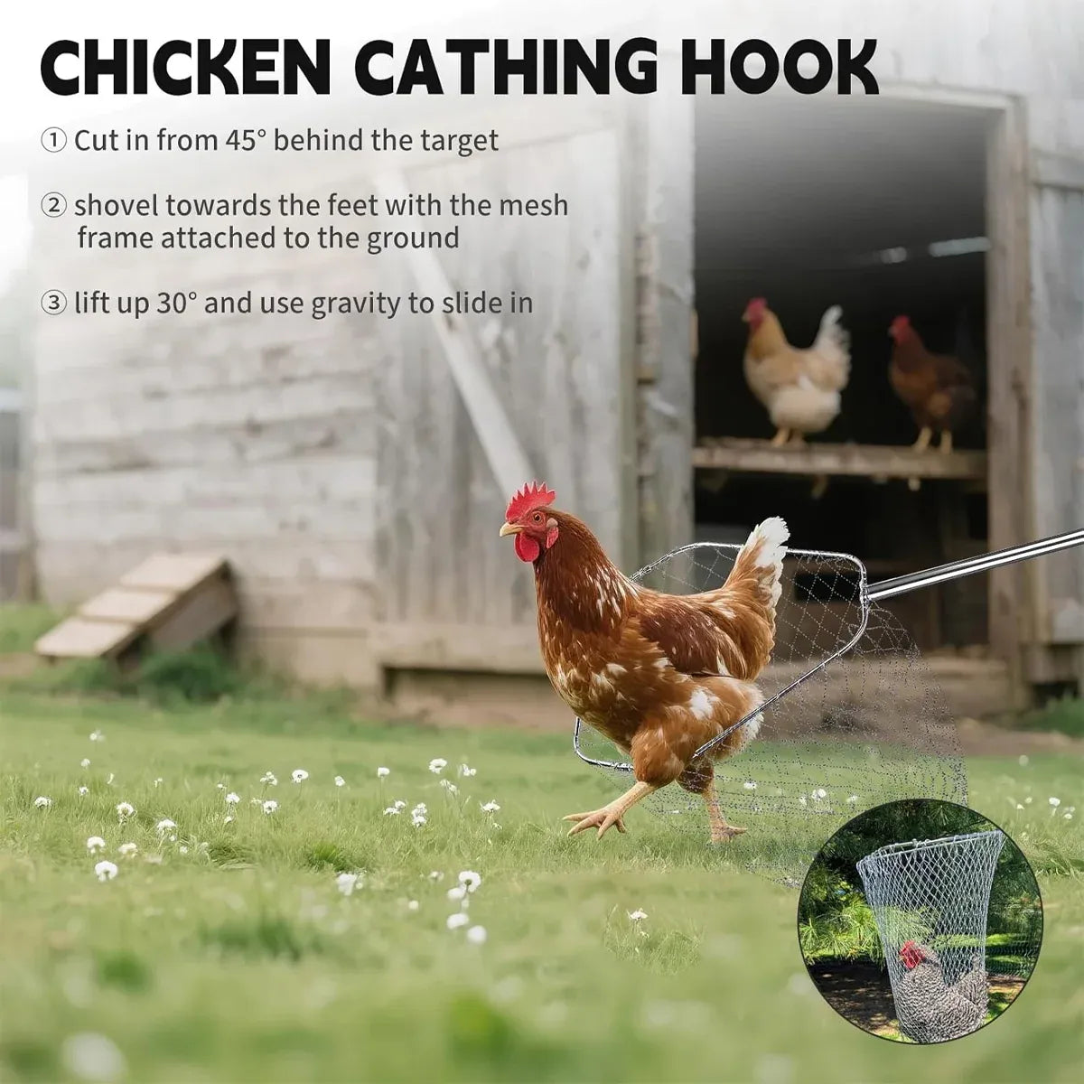 Poultry Catch Net Bag Hook Set Stainless Steel Thickened for Farm