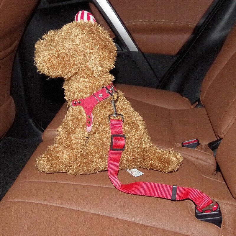 2X Adjustable Pet Travel Lead Clips with Car Buckle for Secure Restraint - Blue