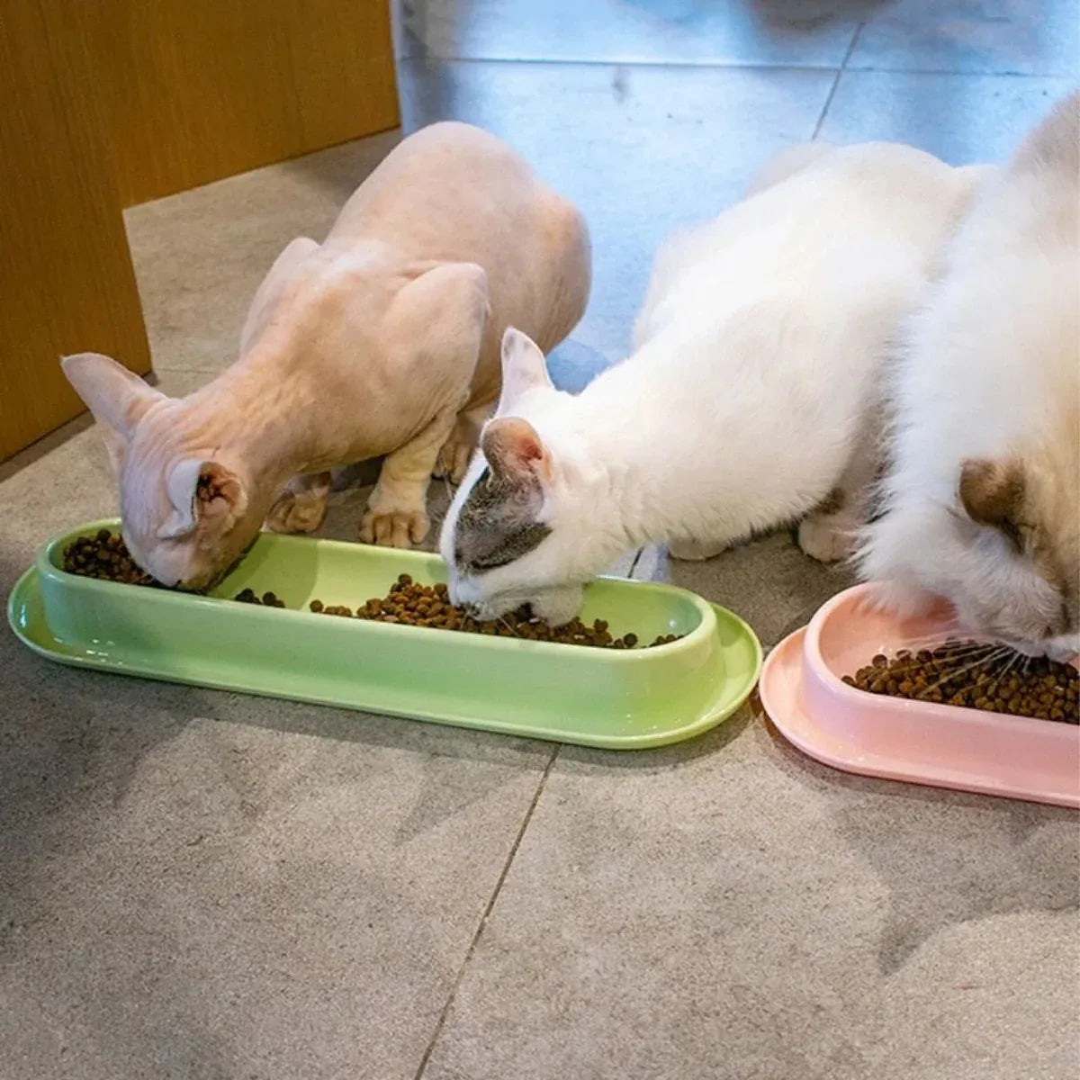 Extended Cat Bowl Pet Bowl Feeding Basin Drinking Water Cat Bowl for Cats - Yellow