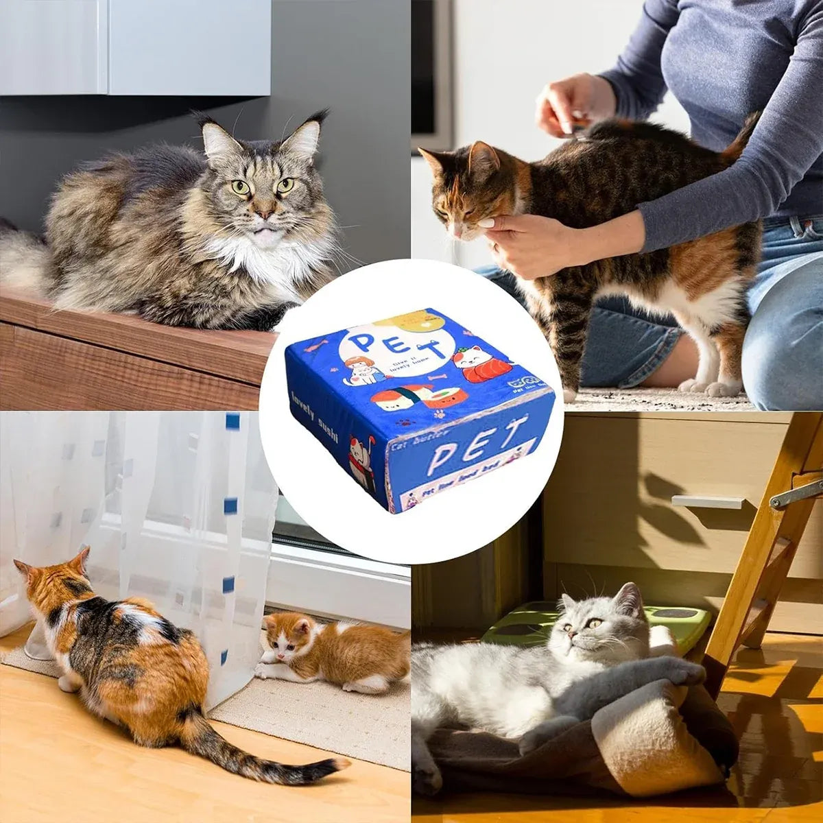 Rectangular Cookie Box Pet Bed for Cats Dogs Cat Bed Kitten Puppy Soft Pet House - Blue L