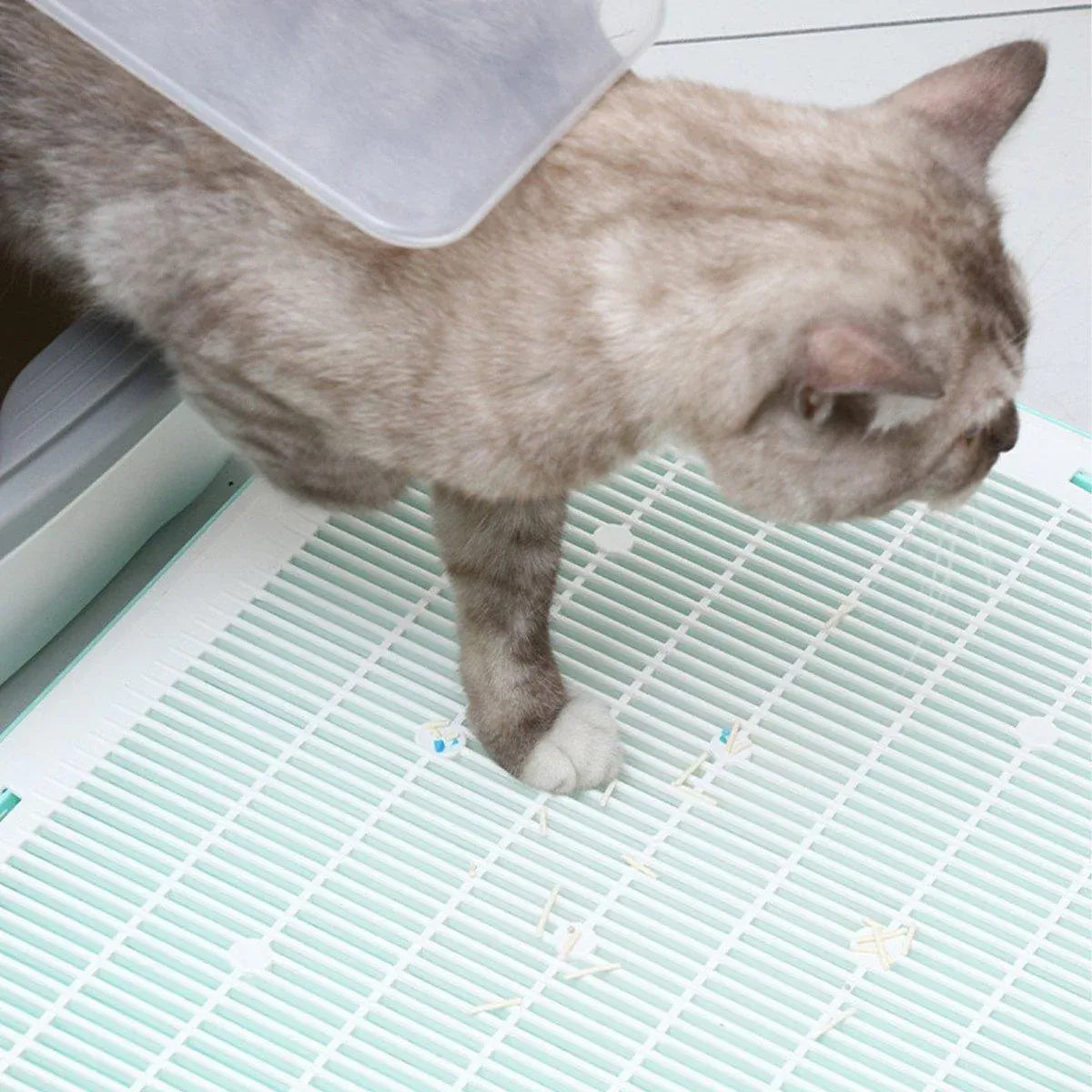 Anti Spill Cat Litter Mat Double Layer Pet Toilet Mat for Litter Box - Green
