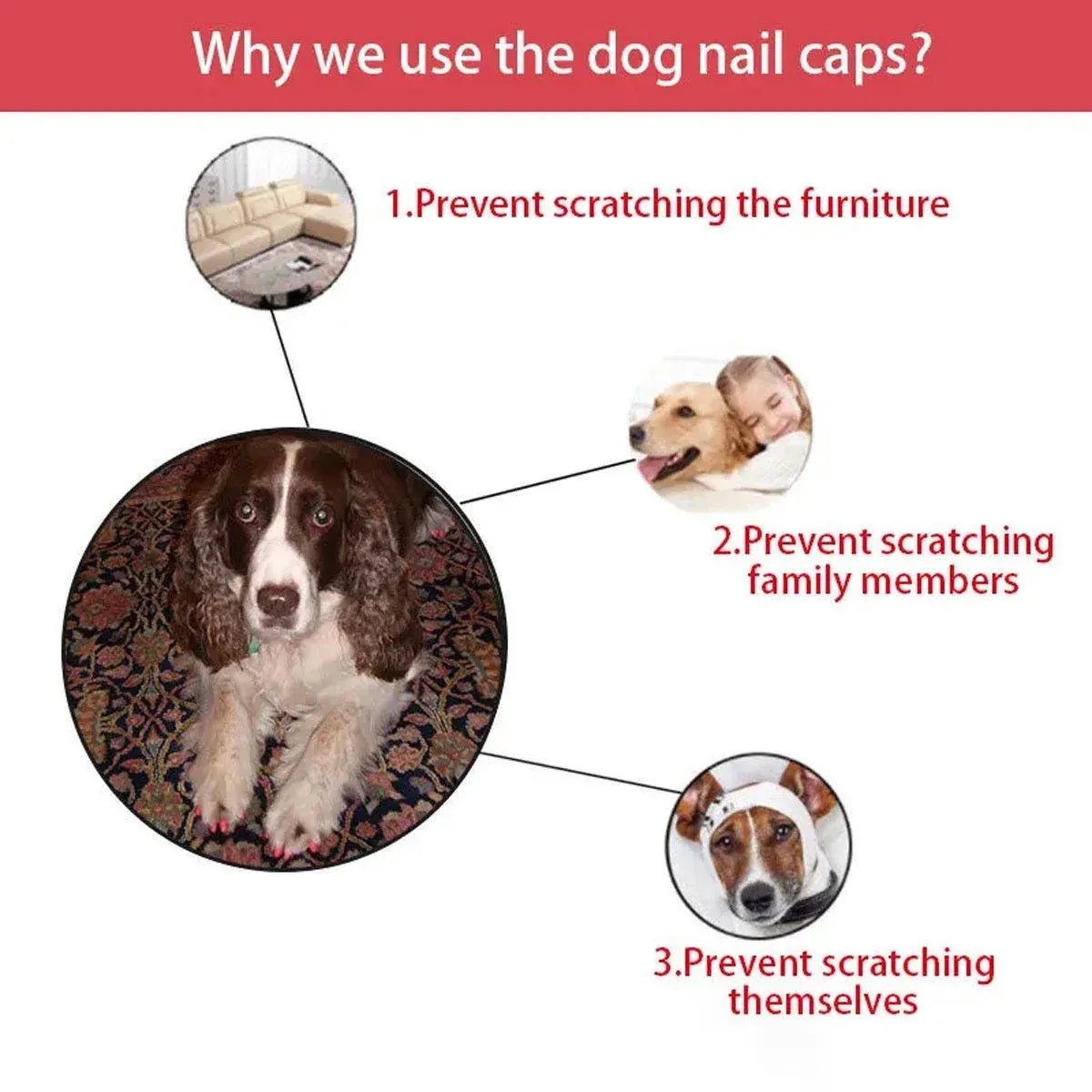 100PCS Anti Scratch Paw Covers for Cats and Kittens Nail Protector Soft Paw - Shiny-L