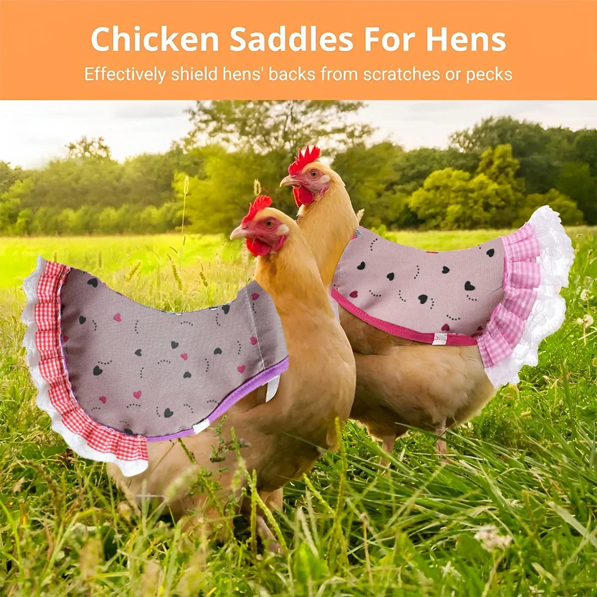 5PCS Pet Feather Protector Hen Apron Poultry Protection Apron for Chickens Birds