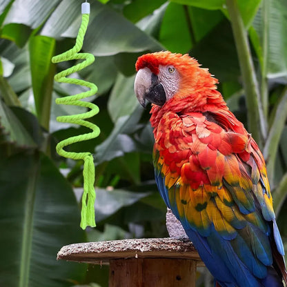 Bird Climbing Rope Toy Cotton Spiral Ladder Parrot Cage Hanging Swing Pet Toy - Colourful