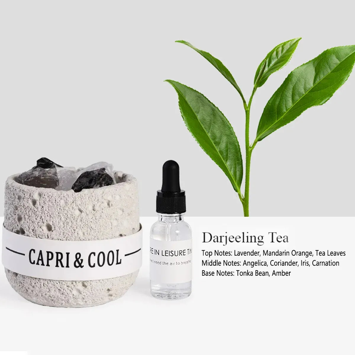 Crystal Stone Oil Diffuser Passive Aromatherapy Set White Natural Bedroom Decor - Blue Bellflower