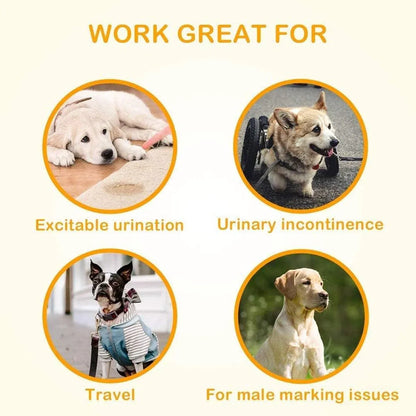Male Dog Diapers Physiological Pants for Dogs Leakproof Diaper Pants Male Pets - XS-14PCS