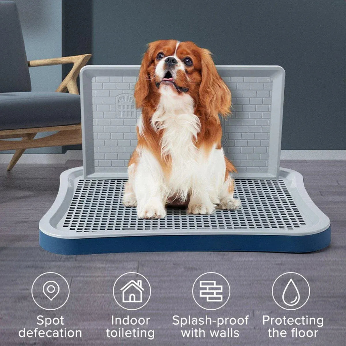 Pet Potty Training Pad Small And Medium-sized Dog Toilet Urinal Pee Tray - Blue