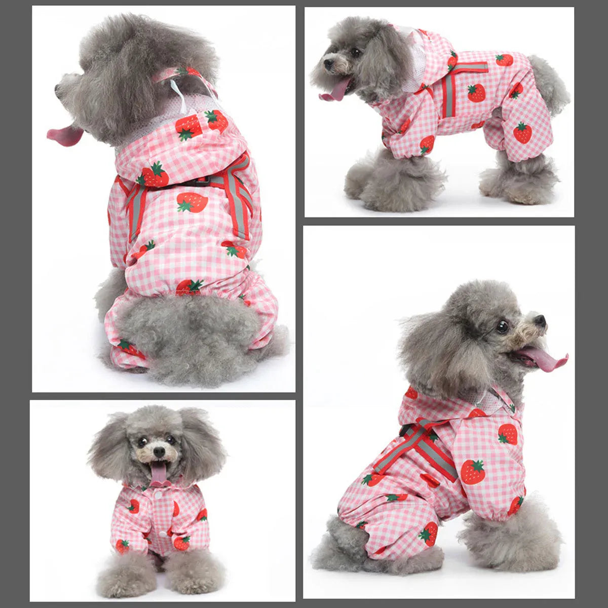 Strawberry Checkered Cat Raincoat Outdoor Rainy Days Dog Raincoat Fashionable - XL