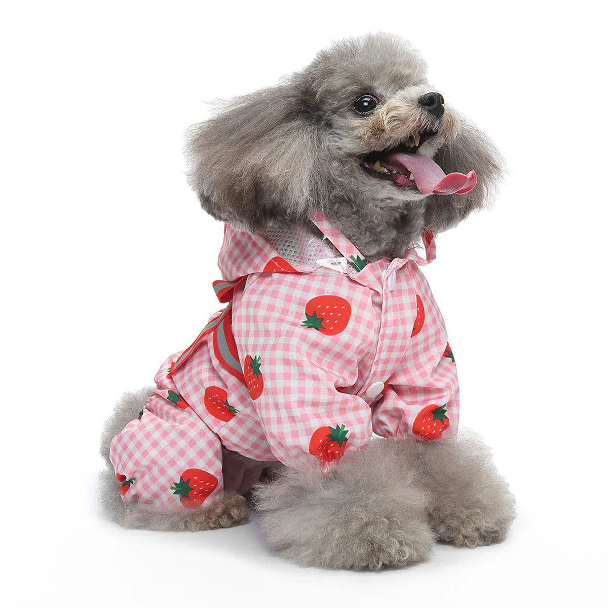 Strawberry Checkered Cat Raincoat Outdoor Rainy Days Dog Raincoat Fashionable - XL