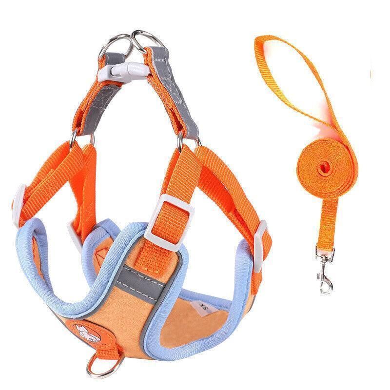 Dog Harness Cat Lead Puppy Leash Vest Mesh Breathe Adjustable Braces Small Pet Orange - L