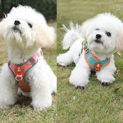 Dog Harness Cat Lead Puppy Leash Vest Mesh Breathe Adjustable Braces Small Pet Orange - L