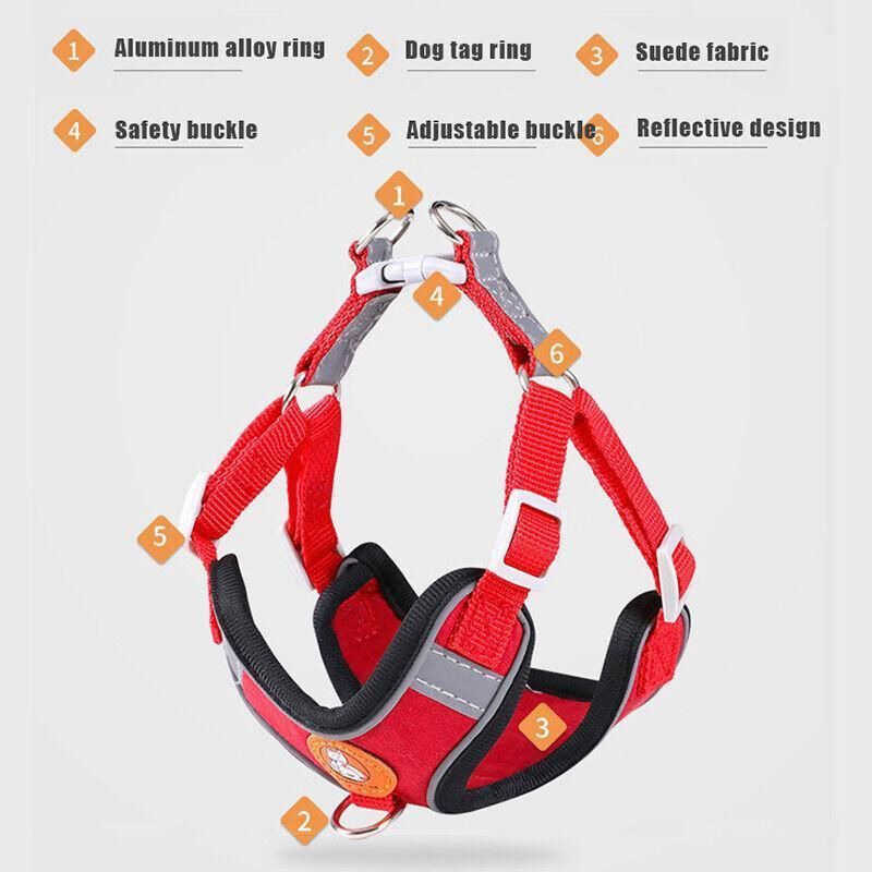 Dog Harness Cat Lead Puppy Leash Vest Mesh Breathe Adjustable Braces Small Pet Orange - L