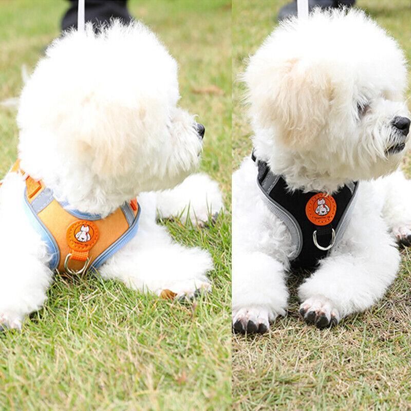 Dog Harness Cat Lead Puppy Leash Vest Mesh Breathe Adjustable Braces Small Pet Orange - S