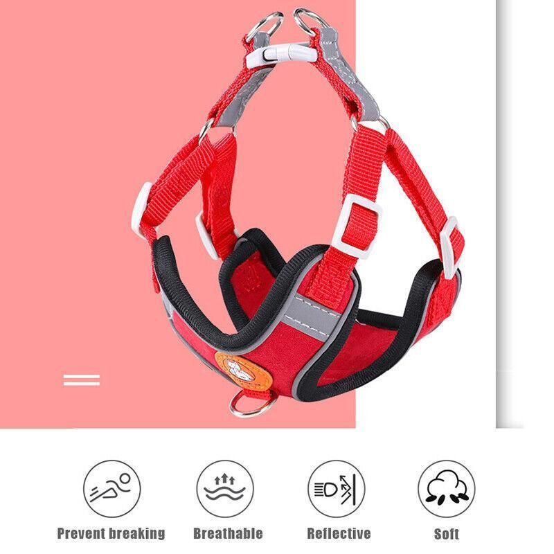 Dog Harness Cat Lead Puppy Leash Vest Mesh Breathe Adjustable Braces Small Pet Orange - S