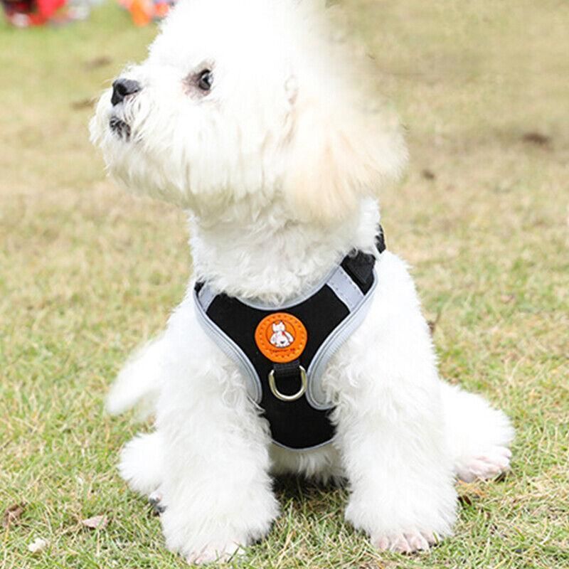 Dog Harness Cat Lead Puppy Leash Vest Mesh Breathe Adjustable Braces Small Pet Orange - S