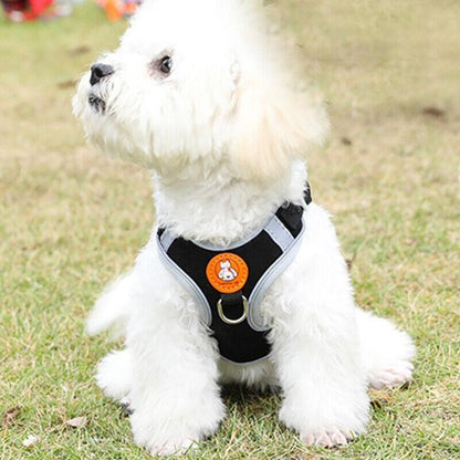 Dog Harness Cat Lead Puppy Leash Vest Mesh Breathe Adjustable Braces Small Pet Orange - S