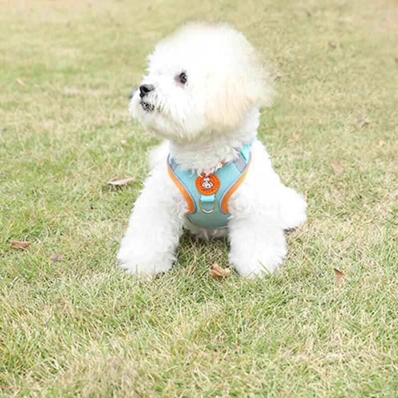 Dog Harness Cat Lead Puppy Leash Vest Mesh Breathe Adjustable Braces Small Pet Orange - XXS