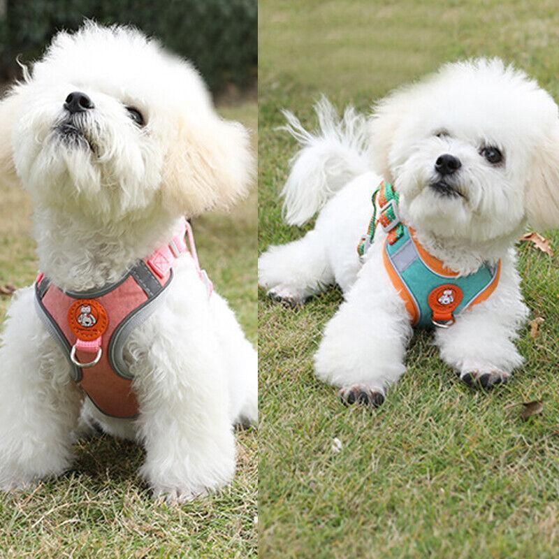 Dog Harness Cat Lead Puppy Leash Vest Mesh Breathe Adjustable Braces Small Pet Orange - XXXS