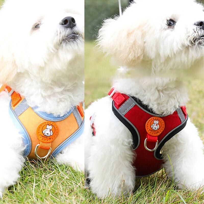 Dog Harness Cat Lead Puppy Leash Vest Mesh Breathe Adjustable Braces Small Pet Orange - XXXS