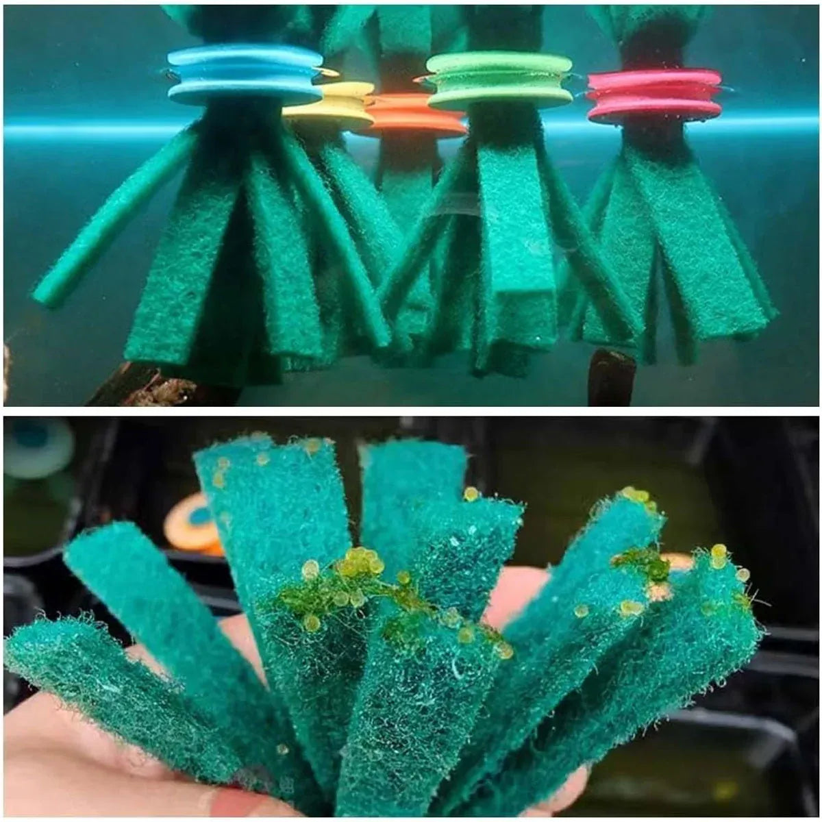 Fish Egg Collector Device Set 10PCS Floating Hanging Breeding Box Aquarium Tank