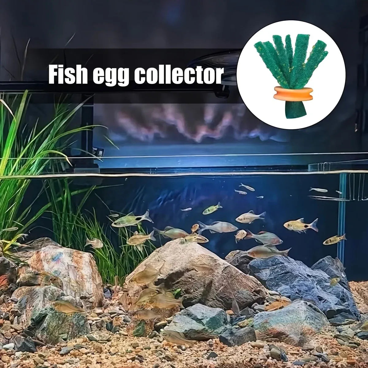 Fish Egg Collector Device Set 10PCS Floating Hanging Breeding Box Aquarium Tank
