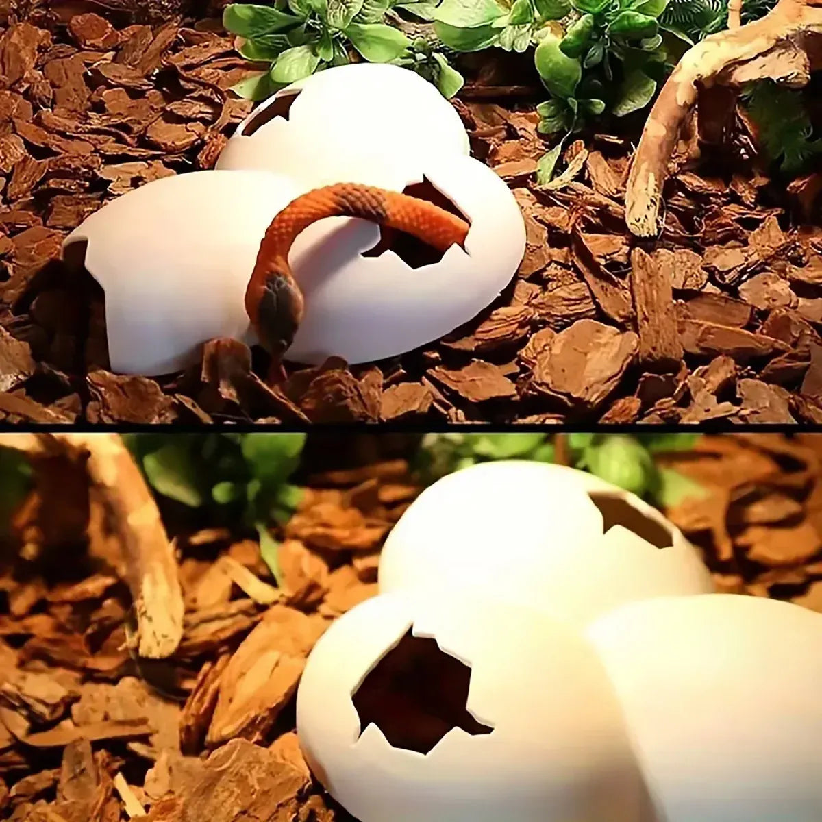 Reptile Hideout Plastic Cave Decorative Shelter for Lizard Snake Spider Habitat - Eggshell Set of 2