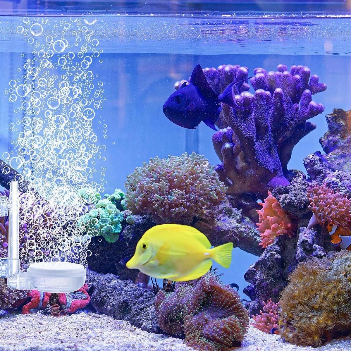 Quiet Bubble Stone Aerator Head Fish Tank Oxygen Pump Nano Air Disc Atomizer - Diameter 35MM