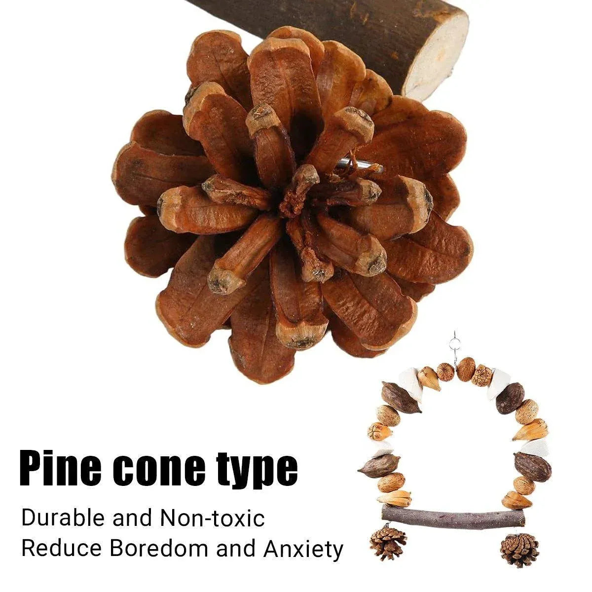 Parrot Chew Toy For Training Climbing Grinding Teeth Relief Durable Bird Toy - Pine Cones