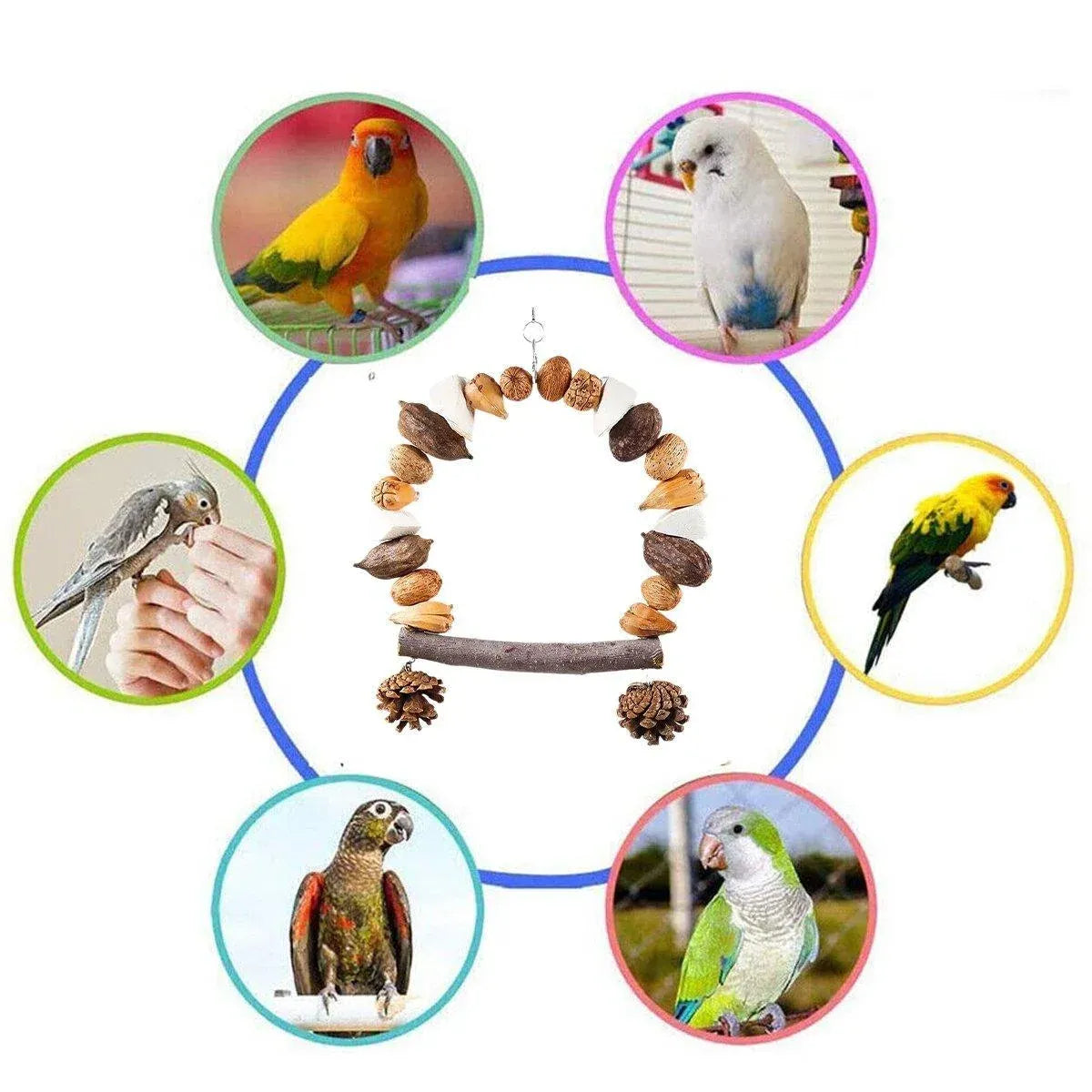 Parrot Chew Toy For Training Climbing Grinding Teeth Relief Durable Bird Toy - Pine Cones
