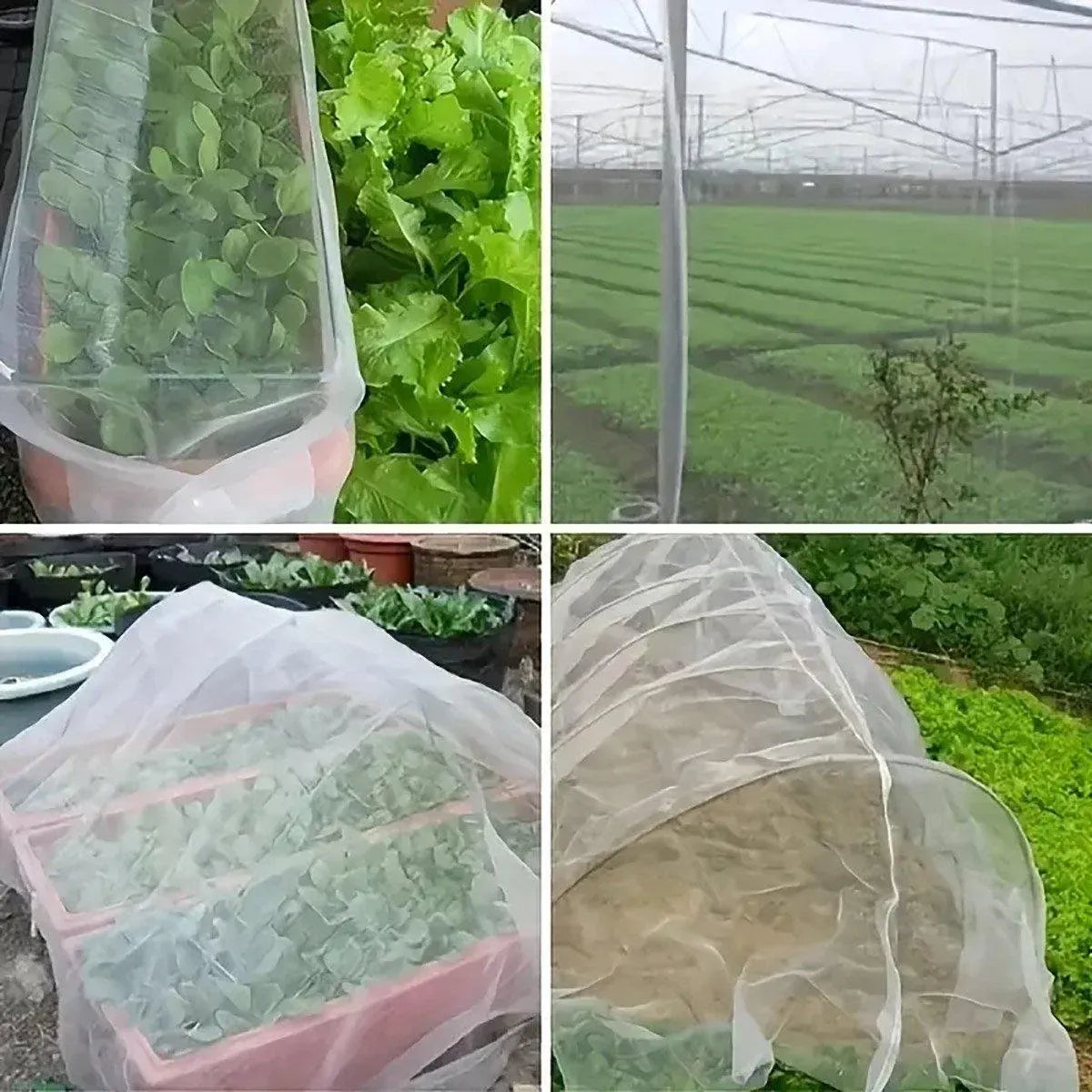 Agricultural Insect-proof Greenhouse Net for Fruit Vegetable Plant Protection - 250CMx5M
