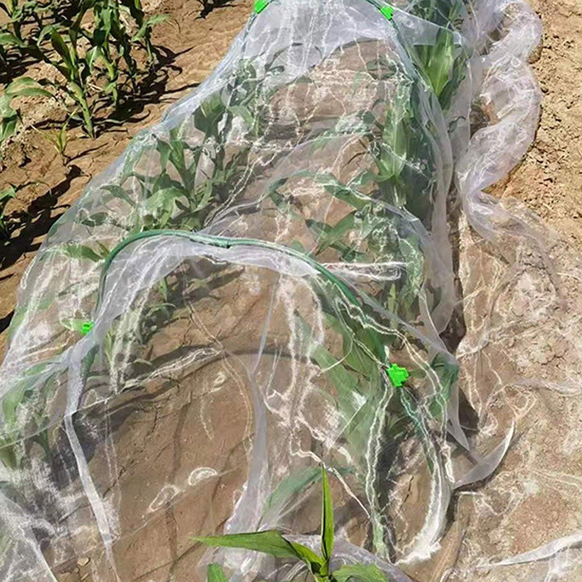 Agricultural Insect-proof Greenhouse Net for Fruit Vegetable Plant Protection - 250CMx5M