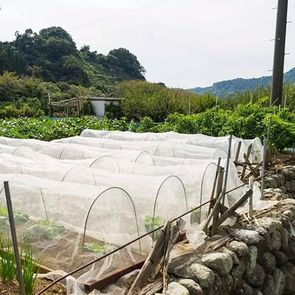 Agricultural Insect-proof Greenhouse Net for Fruit Vegetable Plant Protection - 250CMx5M