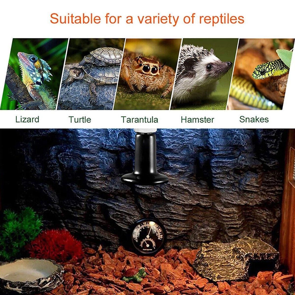 2X Ceramic Infrared Heat Lamp Bulbs for Reptiles and Terrariums - 25W-2PCS